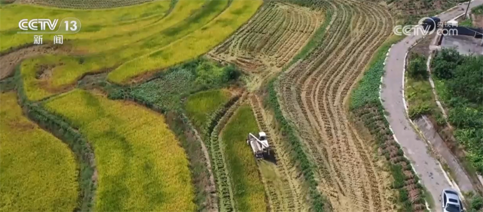 乐鱼app：中邦农业机器行业趋向剖判与将来前景推敲申诉（2023-2030年）